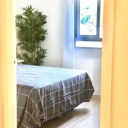 Aloja Diseno Acogedor 3